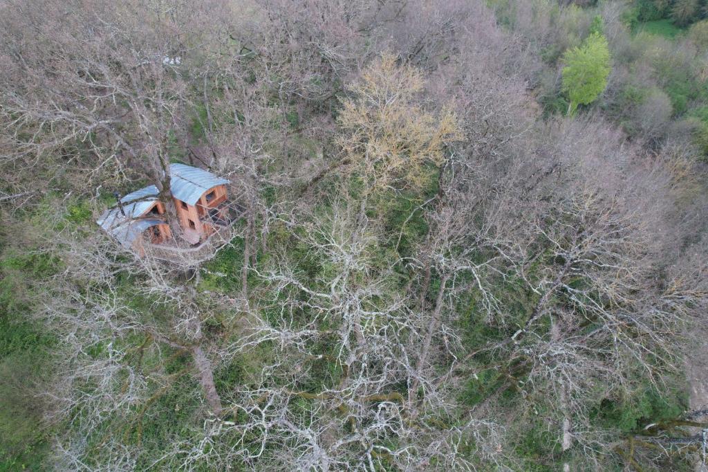 Príroda v okolí horskej chaty