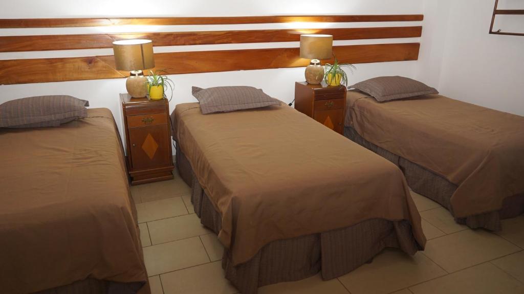 Postel nebo postele na pokoji v ubytování Hotel Casa del Arbol