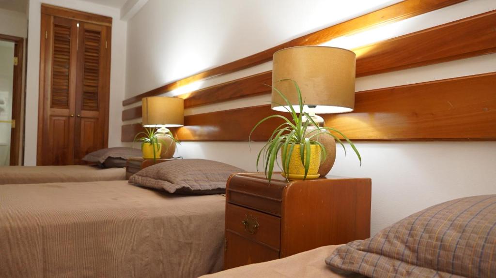 Postel nebo postele na pokoji v ubytování Hotel Casa del Arbol