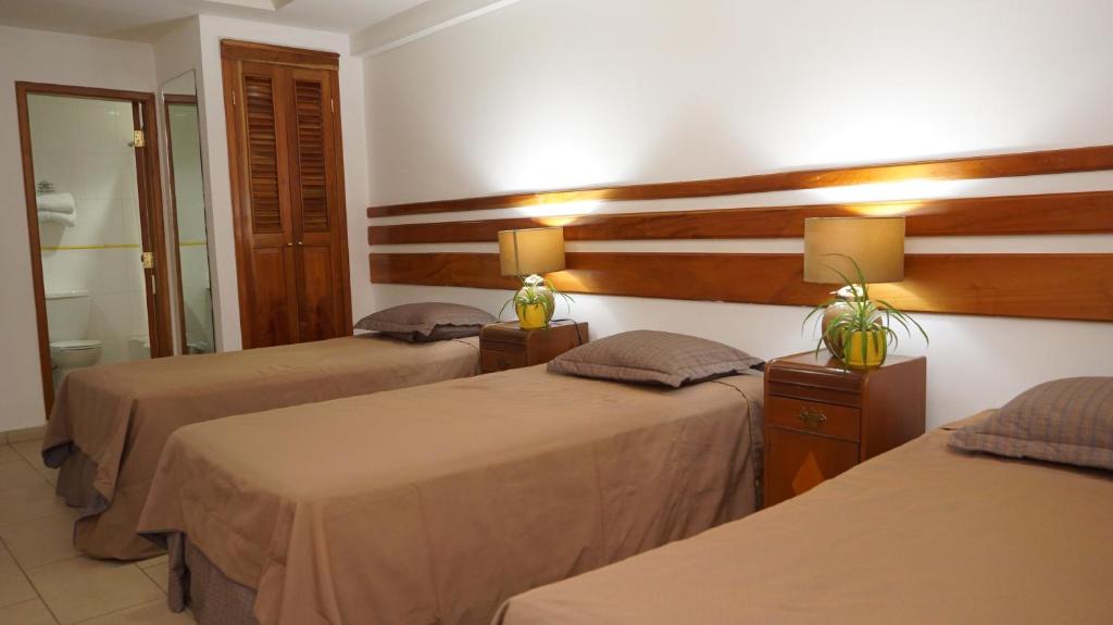 Postel nebo postele na pokoji v ubytování Hotel Casa del Arbol