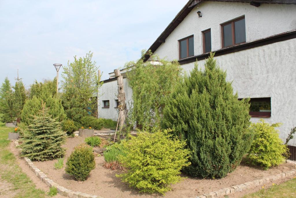 Vonkajšia záhrada v ubytovaní Agroturystyka Kociewiak
