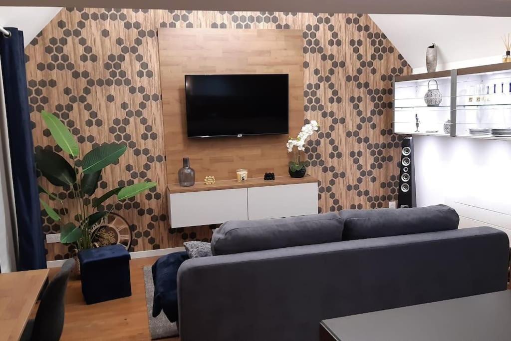 Μια τηλεόραση ή/και κέντρο ψυχαγωγίας στο Loft in Yvetot