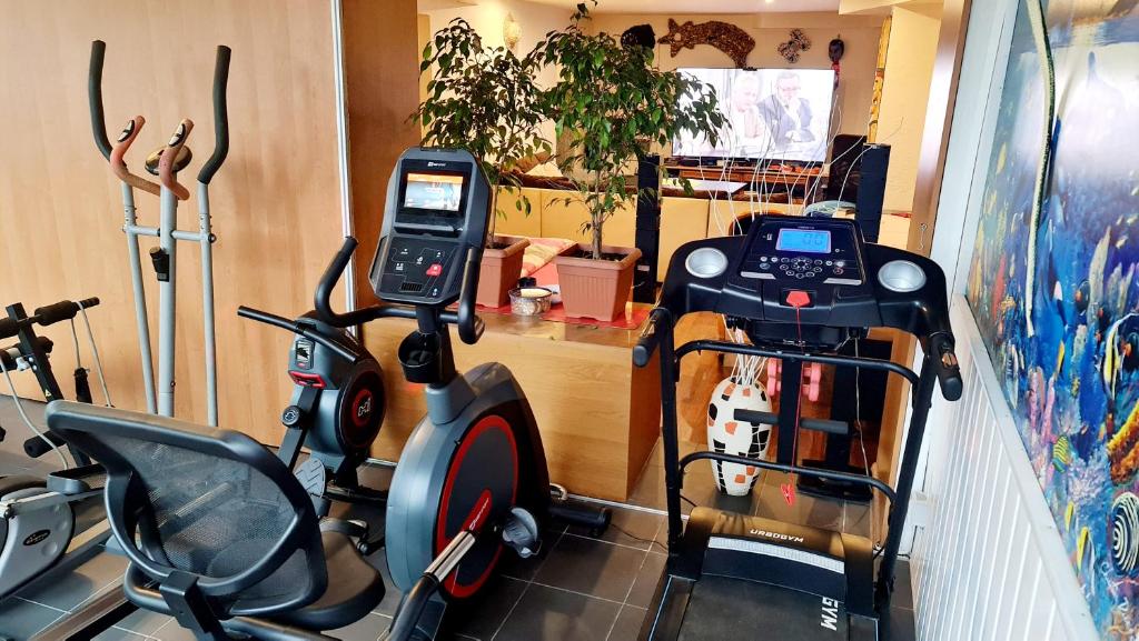 Posilňovňa alebo fitness centrum v ubytovaní Apartament Park Śląski