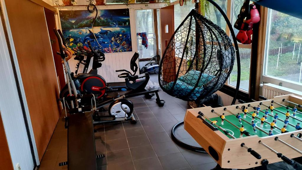 Posilňovňa alebo fitness centrum v ubytovaní Apartament Park Śląski