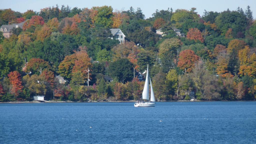 a sail boat on a lake with trees at Holiday Inn Express & Suites - Welland in Welland