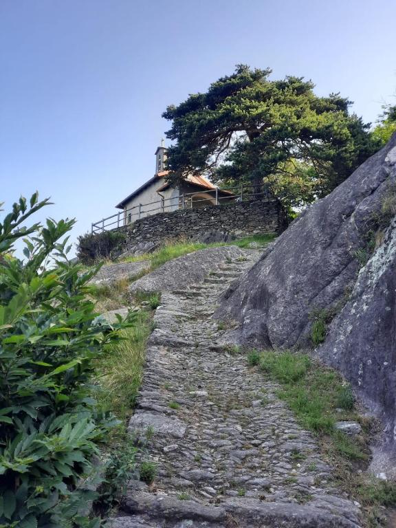 Příroda nedaleko apartmánu