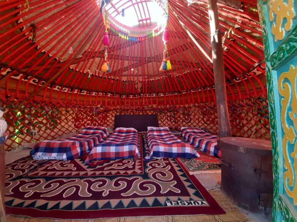 Мен қайын енемді есекке ситам Есектегі семіз әйелдің фотосы