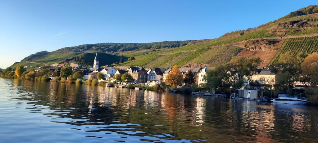 a town next to a river with a hill at Apartments In Spay BigOne Zell-Merl Mosel in Zell an der Mosel