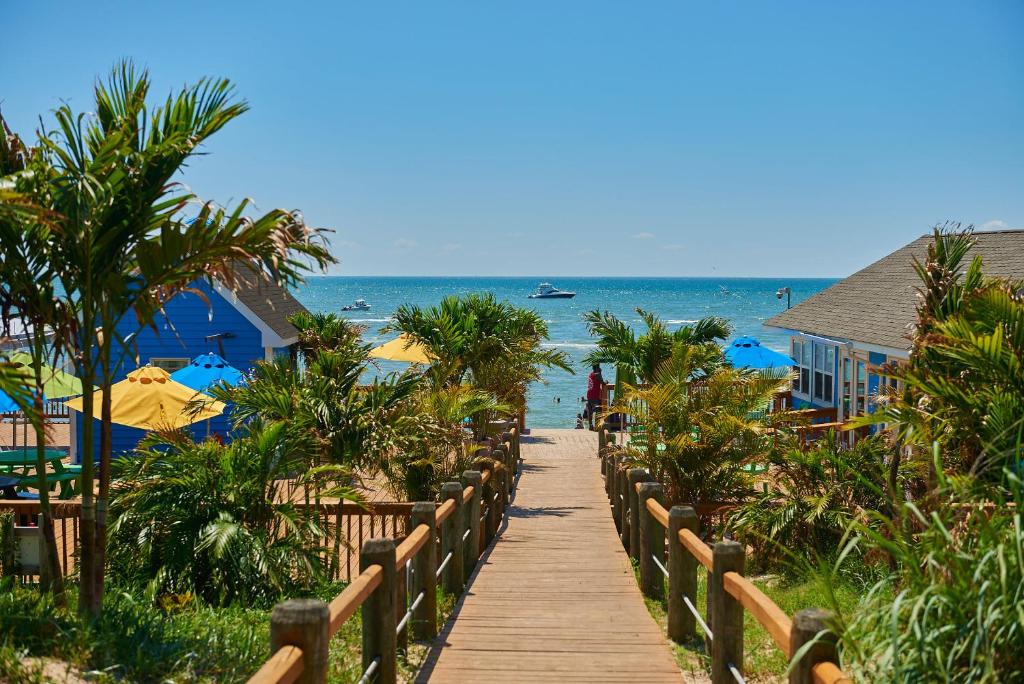 Сансет бич резорт. Кемпинг сансет бич. пляж кемпинга &quot;сансет&quot;. aston sunset beach resort.