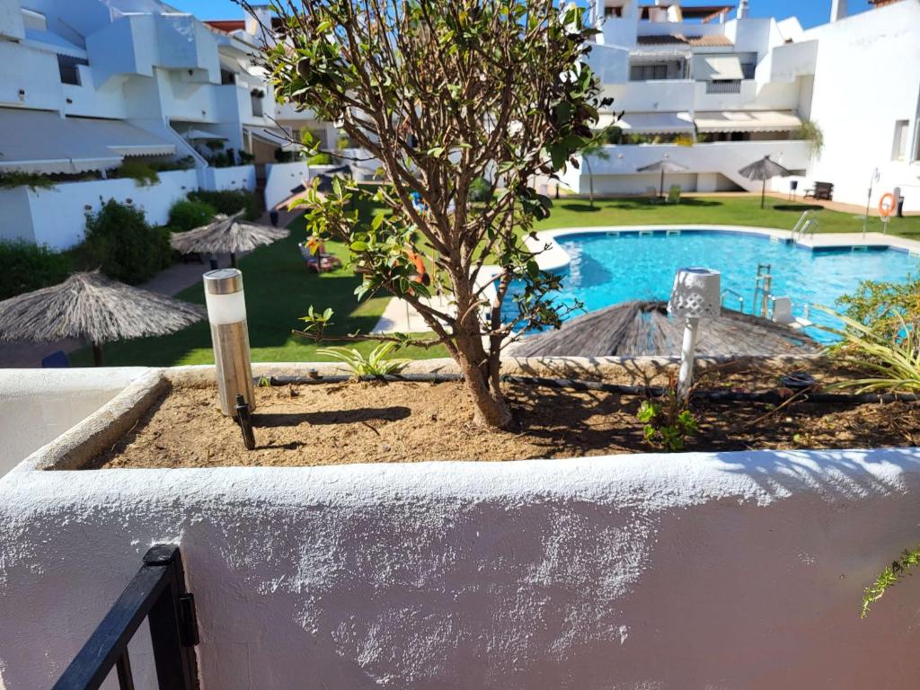 ein Pool mit einem Baum und Sonnenschirmen neben einem Gebäude in der Unterkunft Golf y playa en Islantilla in Huelva