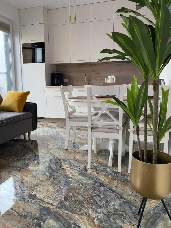 Kuchyňa alebo kuchynka v ubytovaní Apartament ZŁOTE TARASY