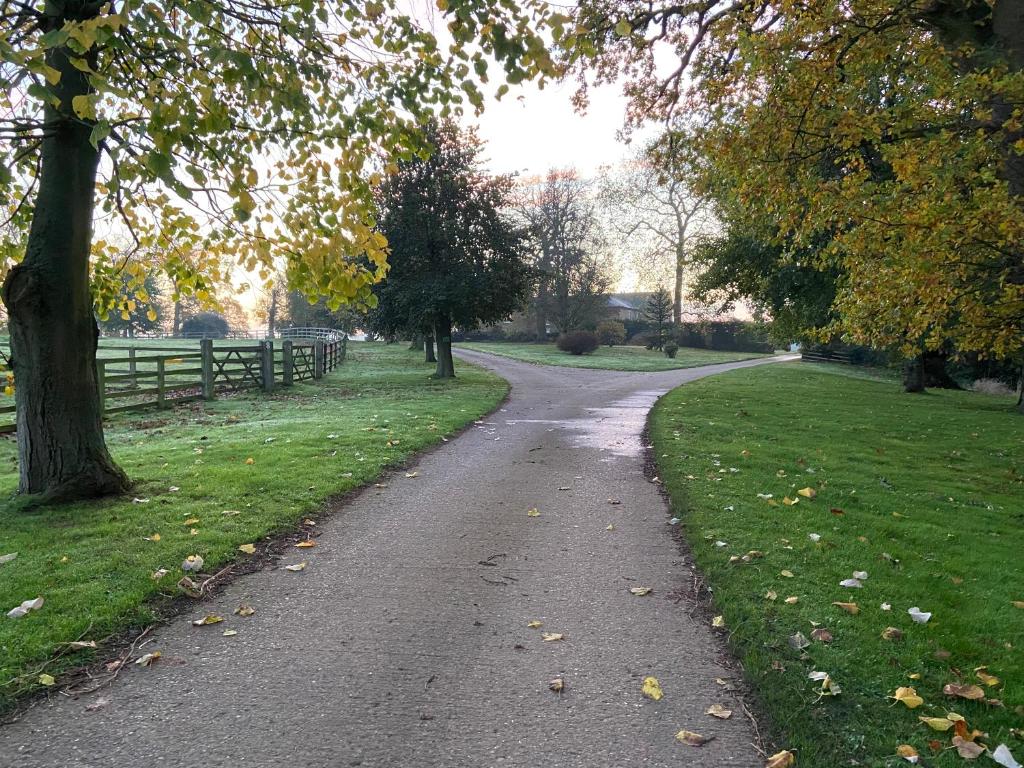 a path in a park with trees and grass at Tilly’s stable in Pattishall