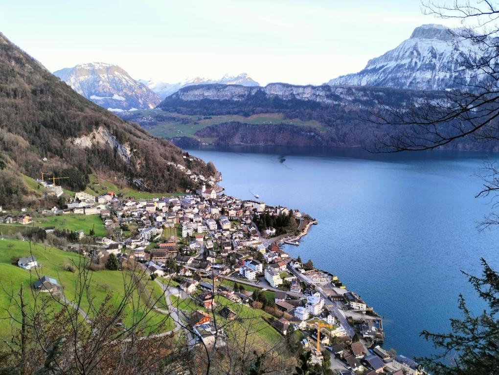 a town in the middle of a lake with mountains at Camenzind in Gersau