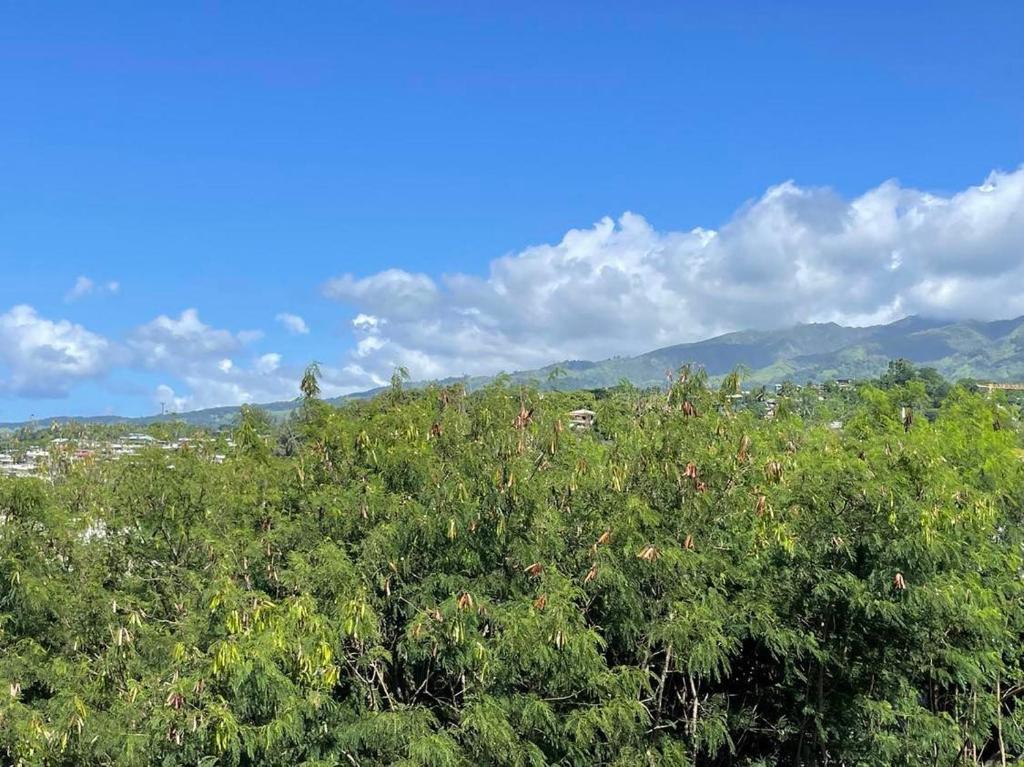 Paisaje cerca de este apartamento