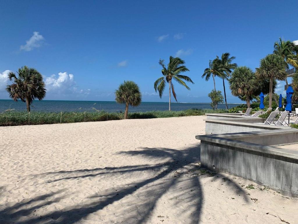 un'ombra di una palma sulla spiaggia di Tropical Paradise Key West a Key West