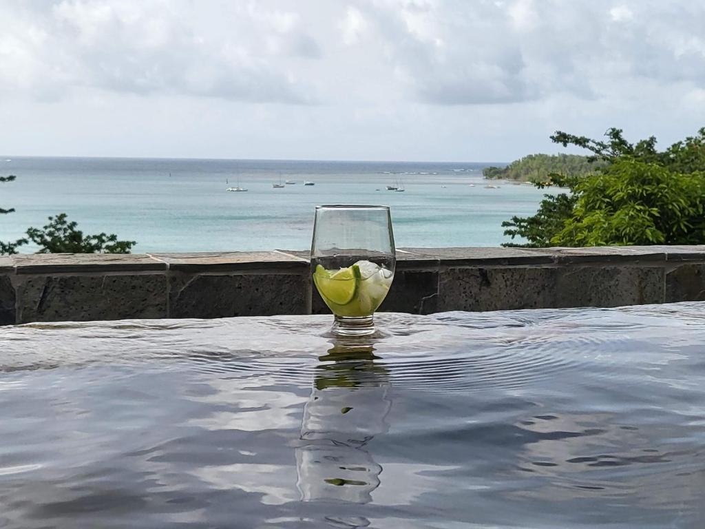 una copa de vino en la parte superior de la piscina en Le CAILLOU, en La Trinité