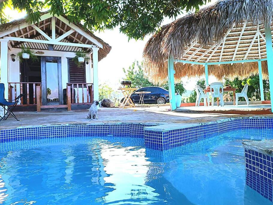 Bazén v ubytování Angostura Lodge nebo v jeho okolí