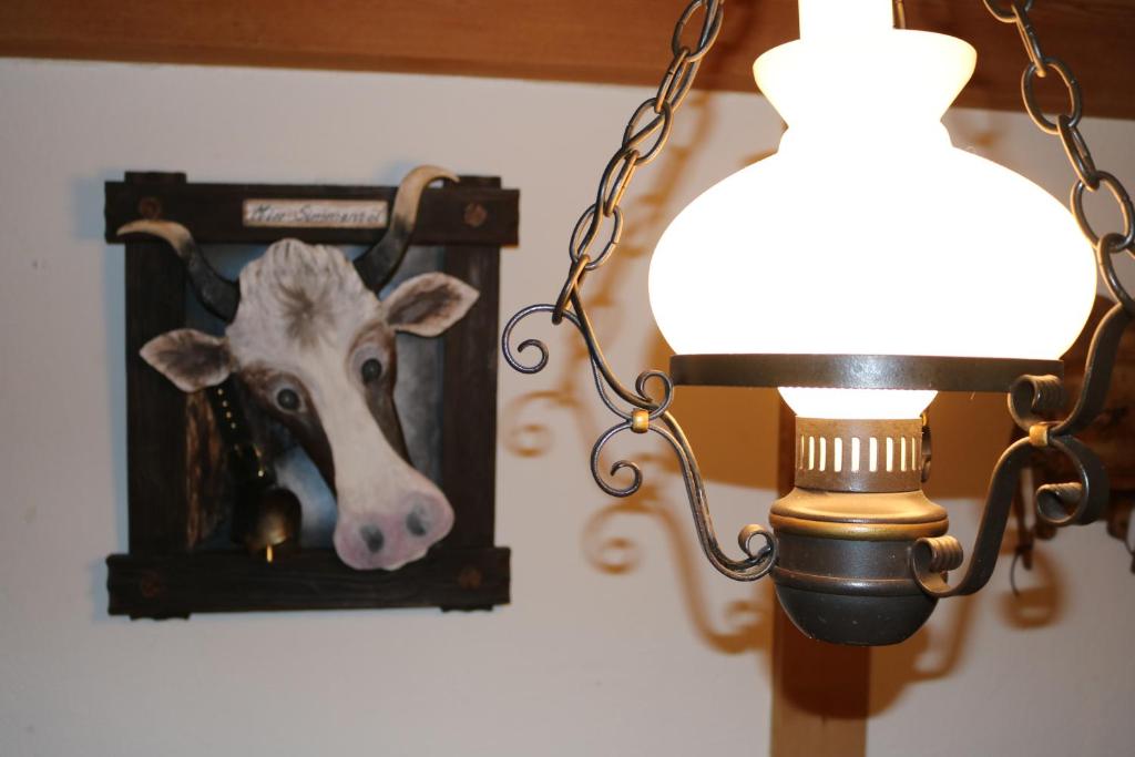 Zvířata v hotelu nebo okolí