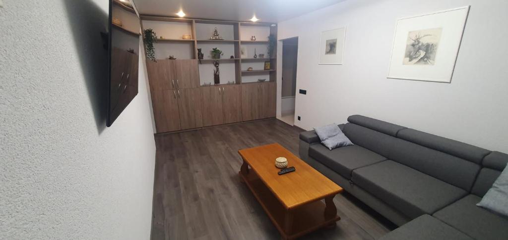 a living room with a couch and a coffee table at Maya's Apartment in Vilnius