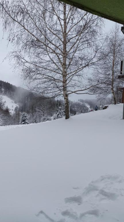 Vikendica Kop durante l'inverno