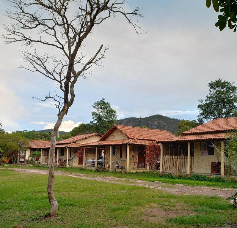 ein Haus mit einem Baum davor in der Unterkunft Chalés Ocaso in Sao Jorge