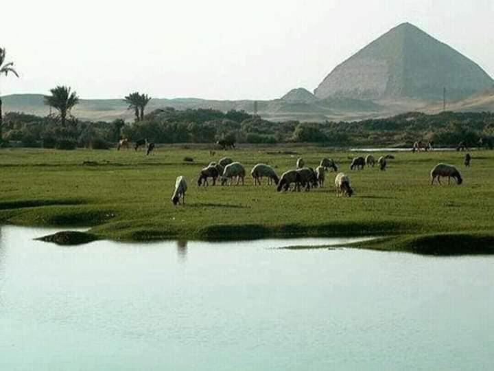 Minshāt Dahshūr