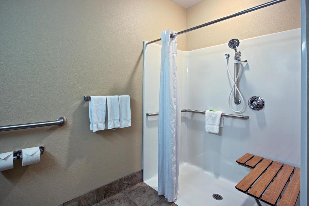 a bathroom with a shower and a toilet at Holiday Inn Express & Suites - Green Bay East by IHG in Green Bay