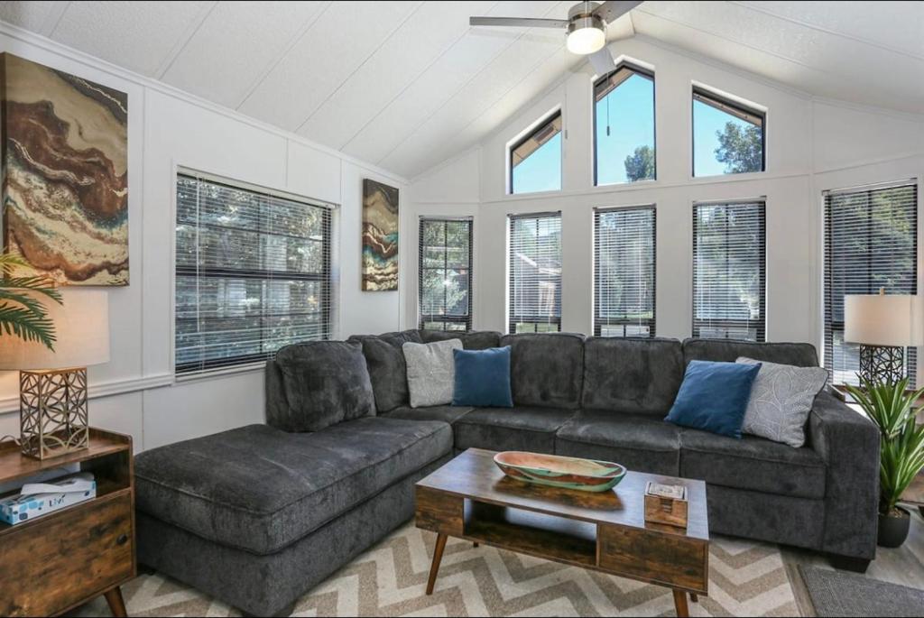 Sun & Snow Chalet Breckenridge, a dog lovers dream!