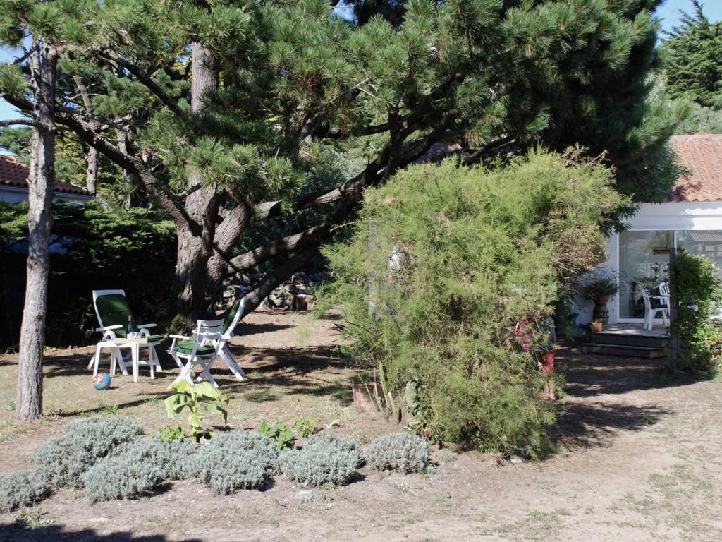einen Garten mit einem Baum, einem Tisch und Stühlen in der Unterkunft Maison Noirmoutier-en-l'Île, 3 pièces, 4 personnes - FR-1-224B-90 in Noirmoutier-en-l'lle