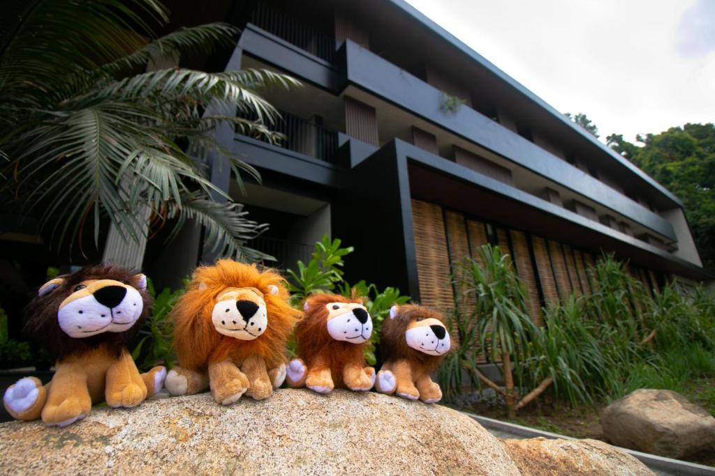 Foto dalla galleria di The Funny Lion - El Nido a El Nido