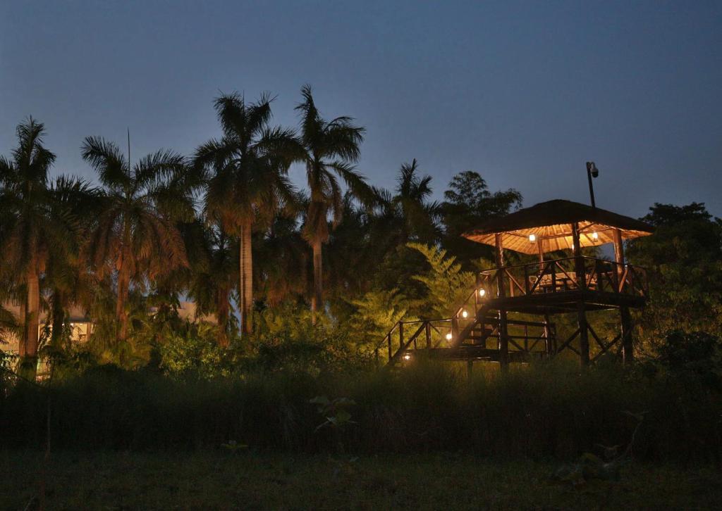 a night view of a gazebo with palm trees at Jaagir Manor, Dudhwa - IHCL SeleQtions in Paliā Kalān