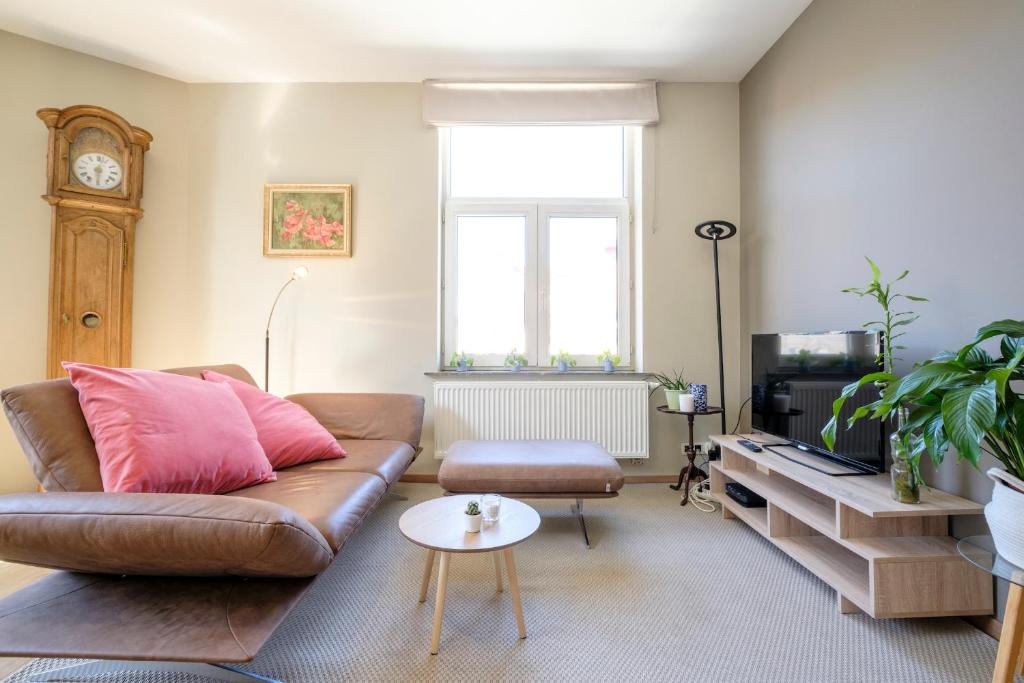 a living room with a brown couch and a tv at Charmant Appartement 1 chambre avec balcon proximité Cinquantenaire in Brussels