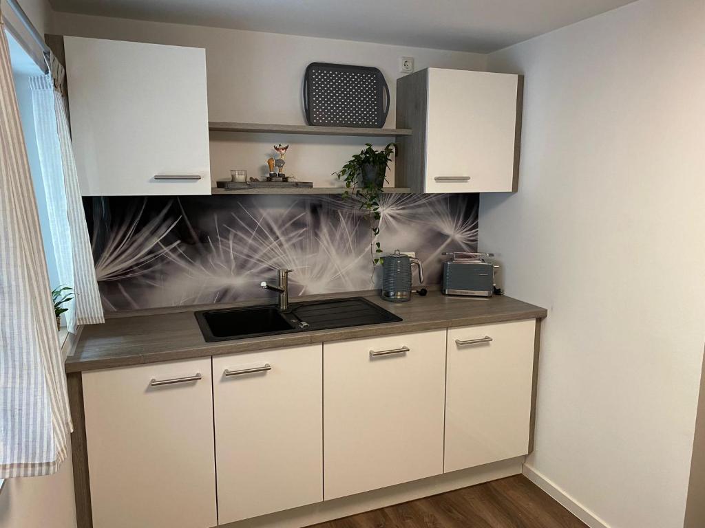 Kuchyň nebo kuchyňský kout v ubytování Ferienhaus Am Riedbach - Birstein