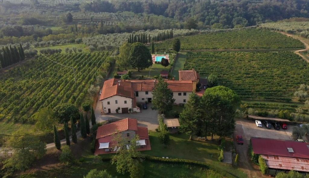 an aerial view of a house in a vineyard at Agriturismo San Jacopo in Reggello