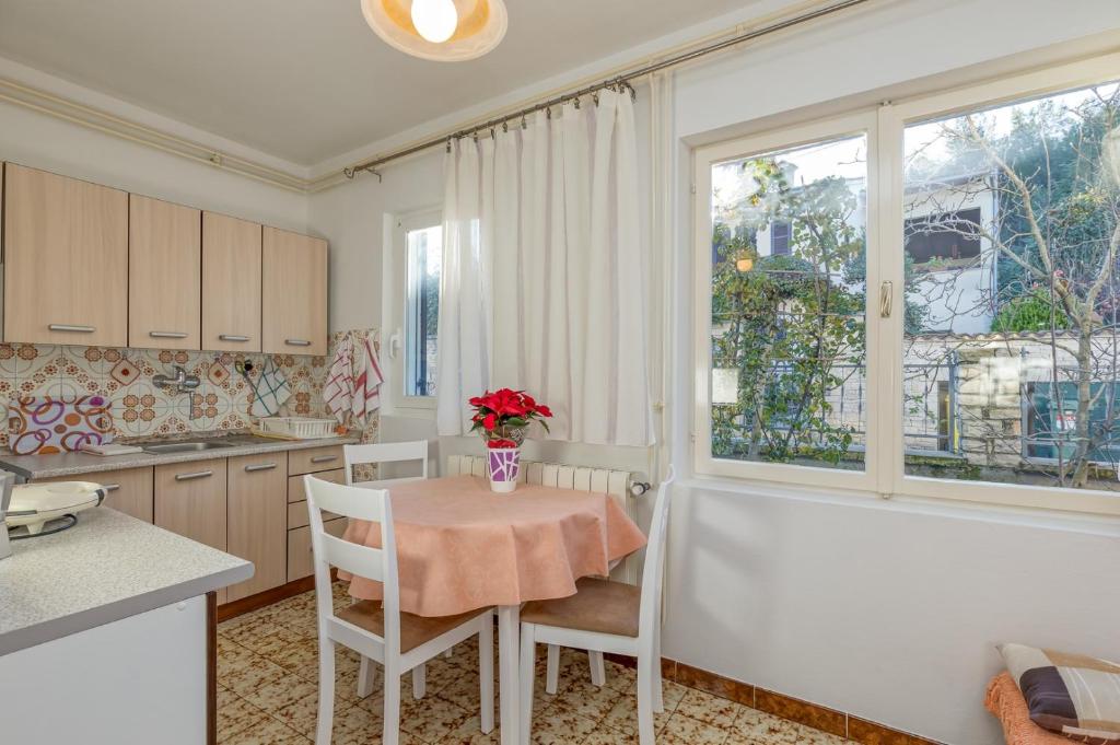 Kuchyň nebo kuchyňský kout v ubytování Apartment Complex Nevia