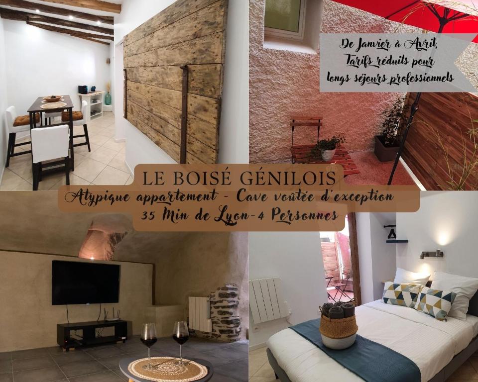 ein Wohnzimmer mit einem Sofa und einem TV in einem Zimmer in der Unterkunft LE BOISÉ GÉNILOIS- Campagne-Chic-Climatisé in Genilac