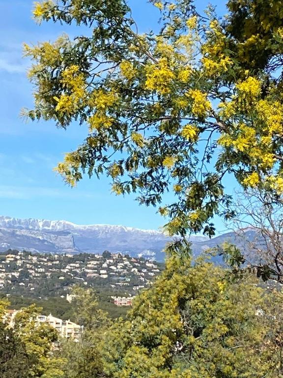 Fotografia z galérie ubytovania Superbe appartement 2 pièces Croix des gardes v Cannes