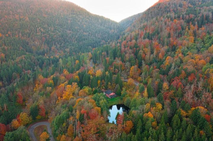 una vista aérea de un bosque con un puente en Accomodatie in Villa Werschmatt en Kruth