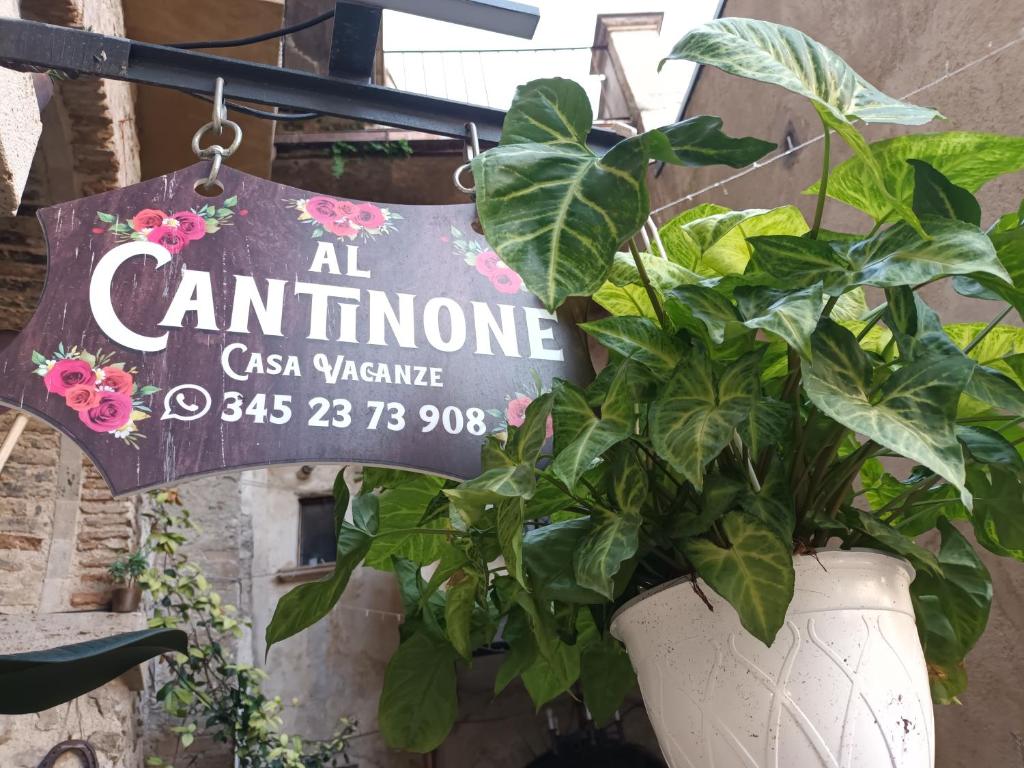 a sign for an entrance to a restaurant with a potted plant at AL CANTINONE in Toffia