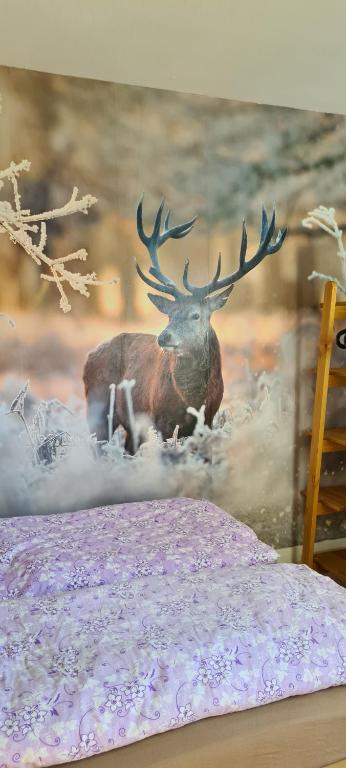 Afbeelding uit fotogalerij van Appartement 7 101 in Goslar