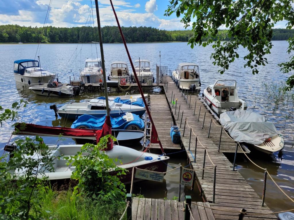a group of boats docked at a dock on a lake at Letnisko BAJKA in Iława