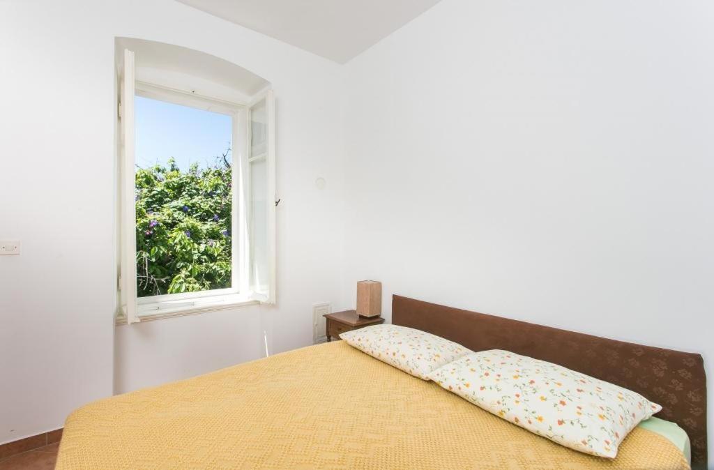 Fotografia z galérie ubytovania Apartment Tranquilo v Dubrovníku