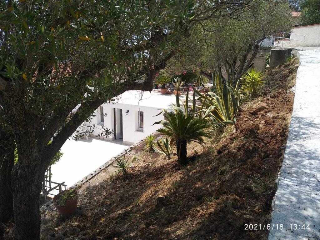 Itaca Rooms Palinuro - Holiday Home