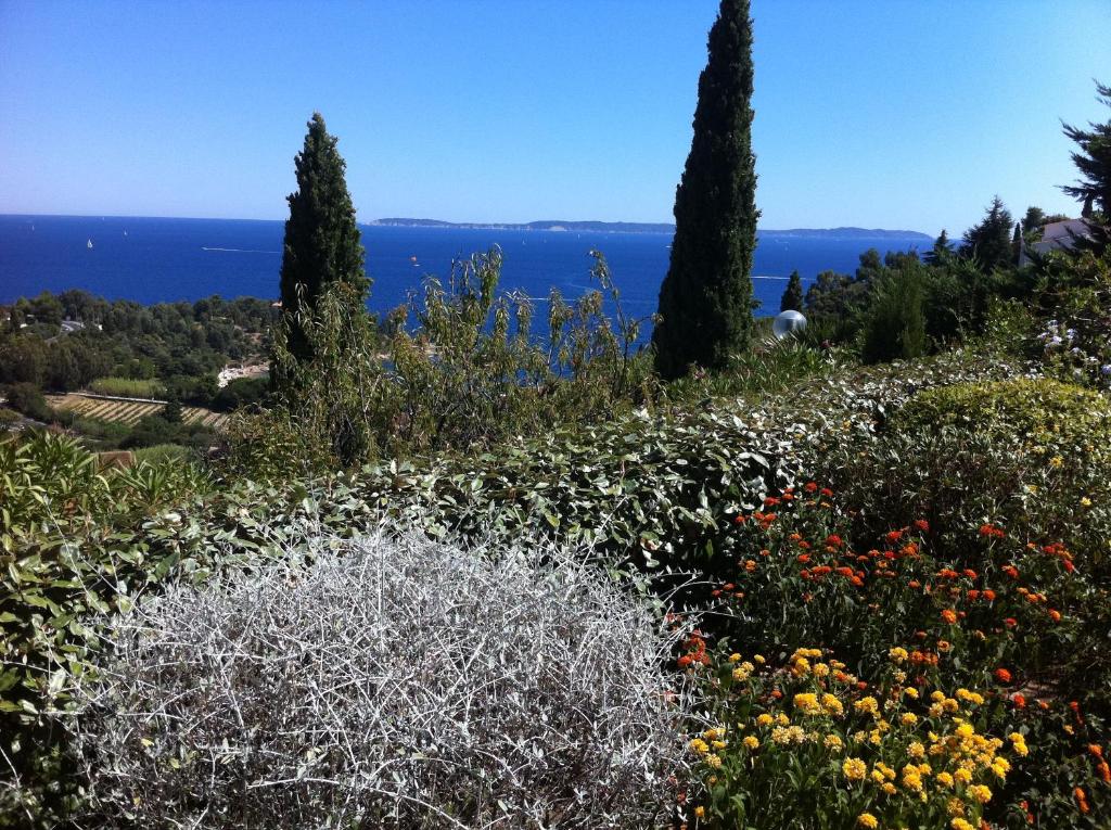un champ de fleurs avec l'océan en arrière-plan dans l'établissement Maison calme très belle vue Lavandou, au Lavandou