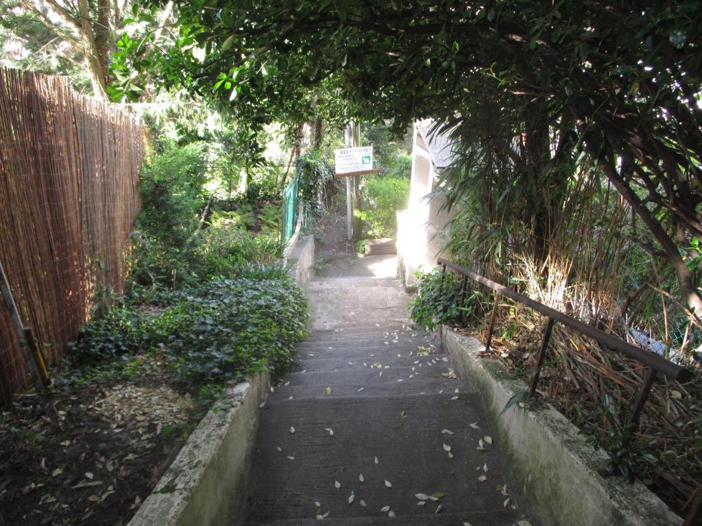 a small path in a yard with a fence at Le Grand Paris - Entre Paris et Disneyland Paris in Champigny-sur-Marne