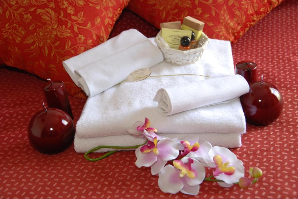 Hotel Scaldaferro - Single Room