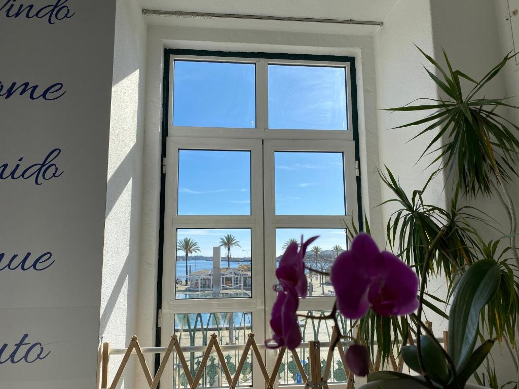 una ventana con vistas al océano y a las palmeras en Residencial Arabi en Portimão