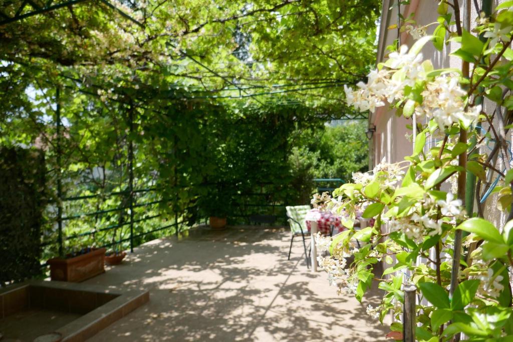 Zahrada ubytování EcoHouse Risan Studio