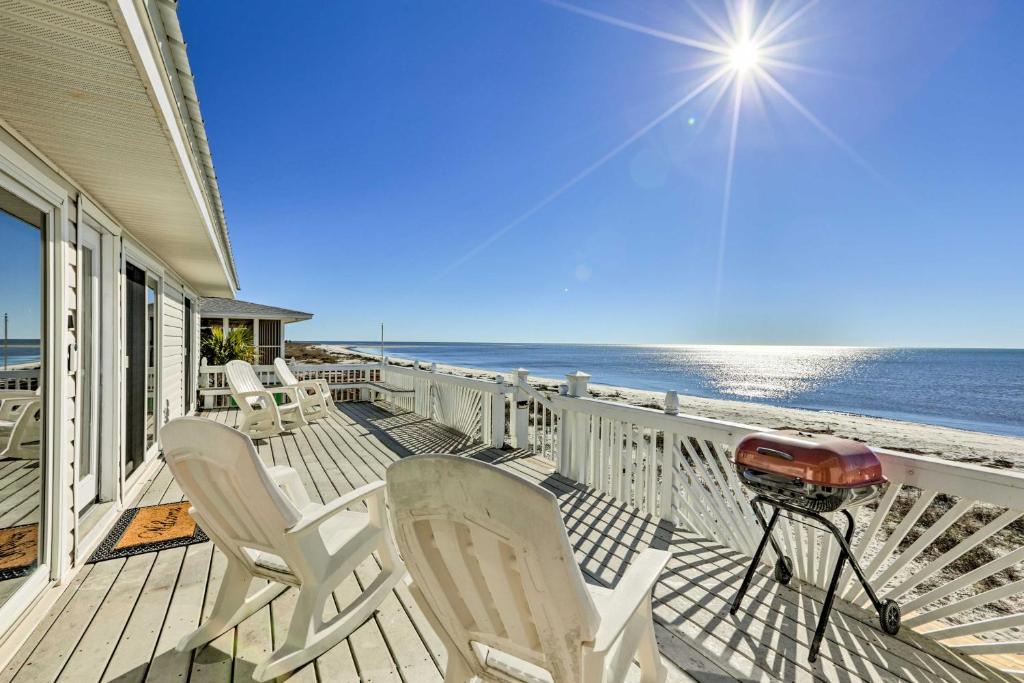 Are Dogs Allowed On Alligator Point Beach