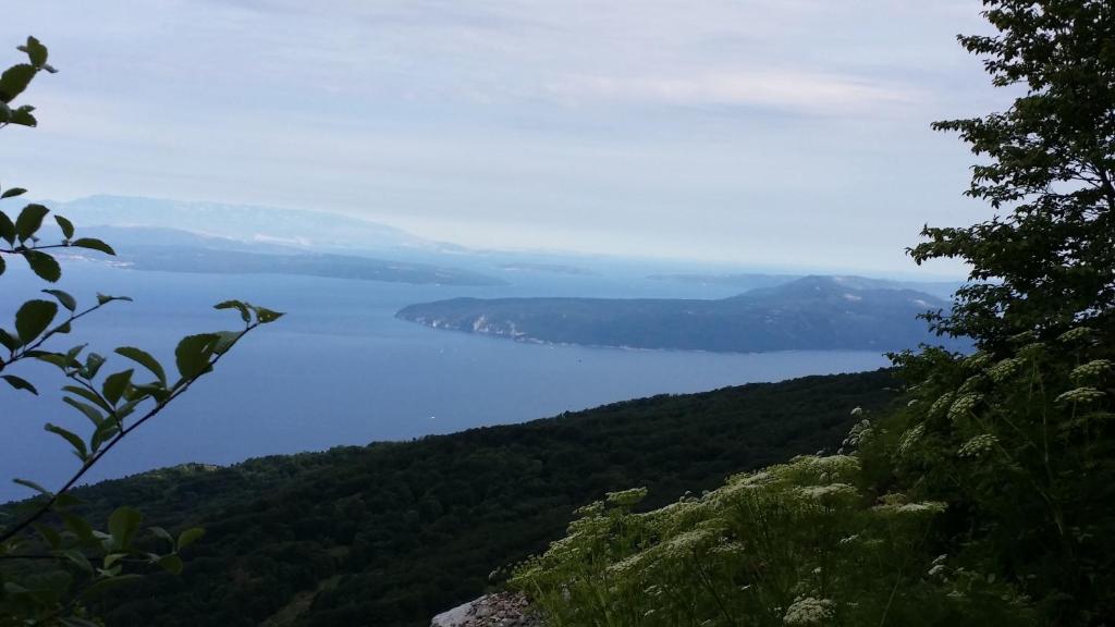 Príroda v okolí apartmánu